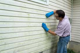 Best Storm Damage Siding Repair  in Shorewood Forest, IN